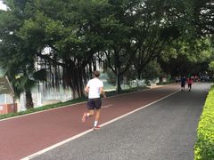 -南宁南湖公园