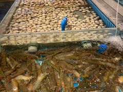 -一方渔歌蒸汽海鲜自助(文化路万达广场店)