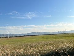 -野鸭湖国家湿地公园