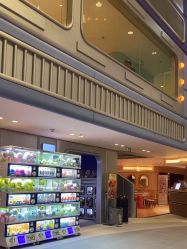 -嗨贝天地(青岛万象城店)