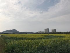 -光明小镇欢乐田园