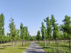 -东郊湿地公园