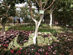-石家庄市植物园