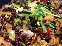 -老板恋上鱼(恒隆广场店)