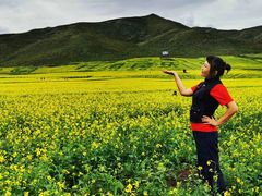 -扁都口生态休闲旅游区