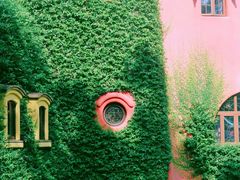 -三鹰之森吉卜力美术馆