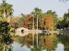 -中国科学院华南植物园
