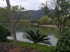 -明月山天沐温泉度假村