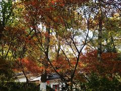 -岳麓山风景名胜区