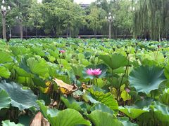 -四川大学(华西校区)