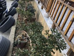 -呼吸森林·生态农庄农家乐私房菜