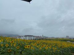 蔬菜沙拉-高基五春川炒鸡排 韩国料理(威海总店)