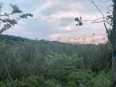 -佛手湖郊野公园