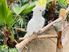 -南宫五洲植物乐园