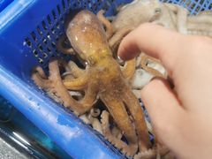 -盒马鲜生(文景博乐里购物广场店)