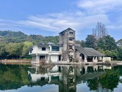 -绍兴镜湖国家城市湿地公园