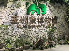 -野象谷景区