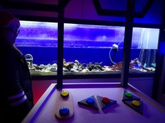 -MOJO密室逃脱(中街旗舰店)