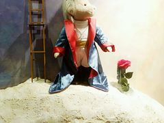 -济州岛泰迪熊博物馆