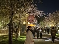 -长田漾湿地公园