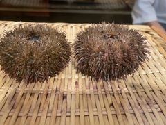 -西村日本料理(香格里拉饭店)