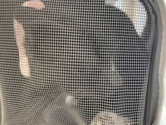 -宠颐生宠物医院·异宠猫科内科·诊疗中心宠巢店
