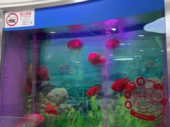 -雅悦齿科(顾村公园店)