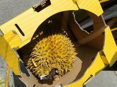 -麦德龙(镇江开发区店)