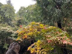 -西安关中民俗艺术博物院