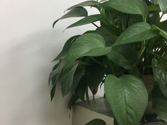 -无艺三语日托早教Arti School(高尔夫园区)