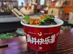 -黑色经典臭豆腐·湖南特产(坡子街店)