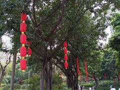 -东风公园