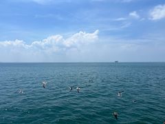 -海驴岛(荣成市)