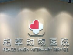 -柏萃动物医院·骨科·牙科