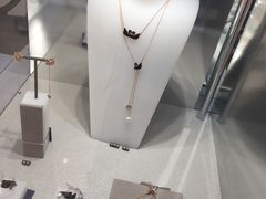 -谢列梅捷沃国际机场