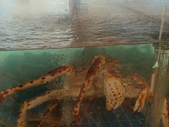 -新丁香海鲜酒店(银海商贸城店)