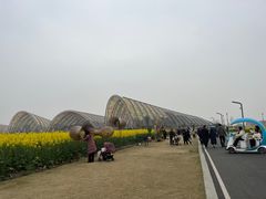 -中国天府农业博览园