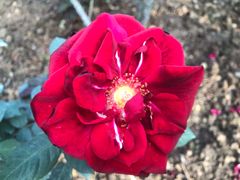 -人民公园(罗湖区)