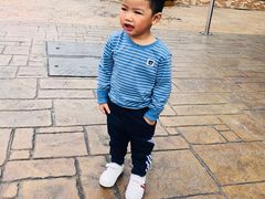 -大信·云顶星河游乐王国