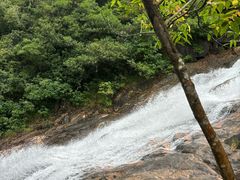 -广州白江湖森林公园