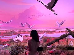 -中国湿地博物馆