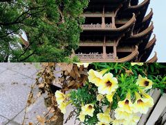 -黄鹤楼公园(黄鹤楼)