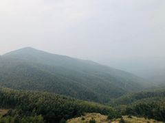 -蔡伦竹海