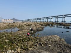 -黑石礁公园