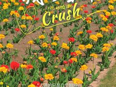 -迎泽公园