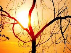 -八一南昌起义军三河坝战役烈士陵园