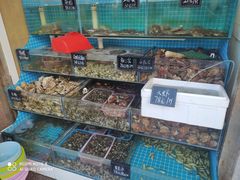 水产区-北戴河庆山饭店·海鲜砂锅粥(北戴河黑石路店)