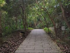 -梧桐山风景名胜区