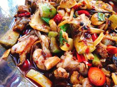 泡椒田鸡-大理.老字号渝记酸萝卜乌鱼(古城总店)