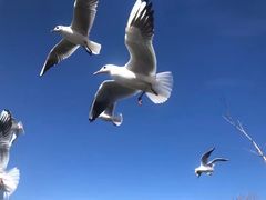 -捞渔河湿地公园
